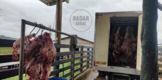 Exclusivo: 1,6 tonelada de carne bovina em situação irregular é apreendida no Bonsucesso, em Itabirito Exclusivo: 1,6 tonelada de carne bovina em situação irregular é apreendida no Bonsucesso, em Itabirito