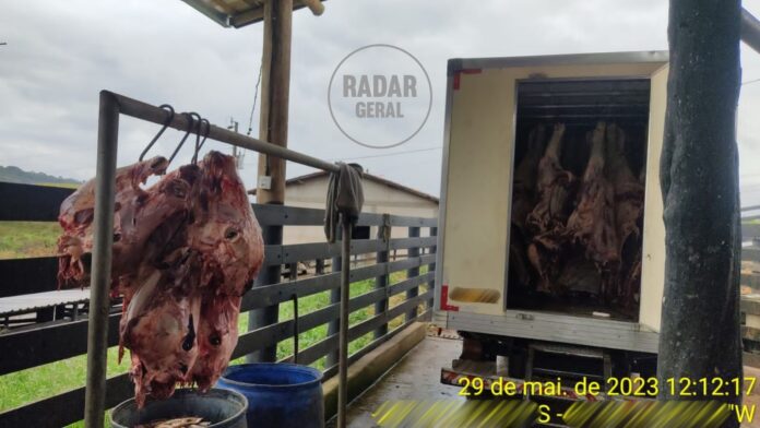 Exclusivo: 1,6 tonelada de carne bovina em situação irregular é apreendida no Bonsucesso, em Itabirito