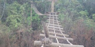Brumadinho: passagens inferiores e superiores para fauna possibilitam a travessia segura de animais Brumadinho: passagens inferiores e superiores para fauna possibilitam a travessia segura de animais