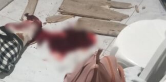 Itabirito: ao furtar uma casa no PA, sujeito mata cachorro a pauladas Itabirito: ao furtar uma casa no PA, sujeito mata cachorro a pauladas