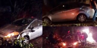 Itabirito: carro bate em árvore na BR-356; veja vídeos Itabirito: carro bate em árvore na BR-356, veja vídeos