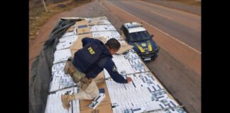 PRF apreende 400 mil maços de cigarro do Paraguai na BR-040, em Nova Lima PRF apreende 400 mil maços de cigarro do Paraguai na BR-040, em Nova Lima