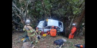 Moeda: carro cai em barranco e fica escorado em árvore na LMG-825; veja fotos Moeda: carro cai em barranco e fica escorado em árvore na LMG-825; veja fotos