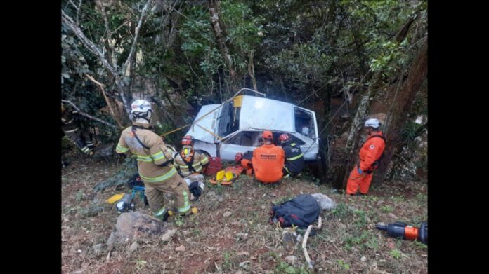 Moeda: carro cai em barranco e fica escorado em árvore na LMG-825; veja fotos