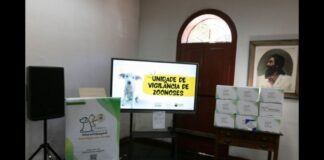 Ouro Preto recebe do Estado 1.391 microchips para identificação de cães e gatos Ouro Preto recebe do Estado 1.391 microchips para identificação de cães e gatos