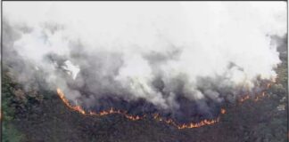 Fogo consome Parque Nacional da Serra do Gandarela; parte que fica em Itabirito não foi atingida Fogo consome Parque da Gandarela