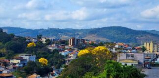 Ipês colorem Itabirito; veja fotos Ipês colorem Itabirito; veja fotos