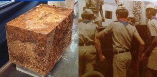 Itabirito: urna retirada do antigo Pirulito pela administração do ex-prefeito Juninho é encontrada Itabirito: urna retirada do antigo Pirulito pela administração do ex-prefeito Juninho é encontrada