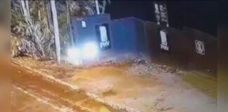 Medidas de segurança são impostas após onça-parda ser avistada em Nova Lima Medidas de segurança são impostas após onça-parda ser avistada em Nova Lima