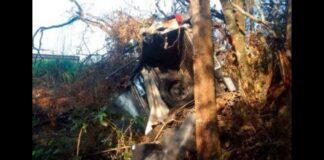 BR-494: homem morre após capotar veículo furtado BR-494: homem morre após capotar carro furtado