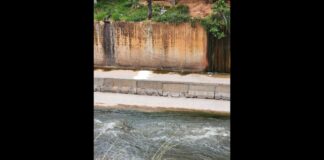 Homem morre ao cair no Arrudas; rádio diz que ele foi empurrado após ameaçar pedestres Homem morre ao cair no Arrudas; rádio diz que ele foi empurrado após ameaçar pedestres