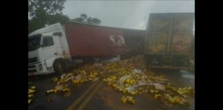 BR-365: carreta com Toddy e caminhão com amendoim colidem; ferido é socorrido de helicóptero BR-365: carreta com Toddy e caminhão com amendoim colidem; ferido é socorrido de helicóptero