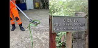 Bombeiros resgatam cobra presa há 2 dias no padrão de luz da Gruta de Nossa Senhora das Graças Bombeiros resgatam cobra presa há 2 dias no padrão de luz da Gruta de Nossa Senhora das Graças