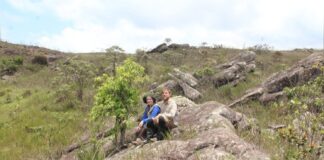 Ouro Preto: nova espécie de árvore é descoberta no Parque do Itacolomi e já está em risco de extinção Ouro Preto: nova espécie de árvore é descoberta no Parque do Itacolomi e já está em risco de extinção