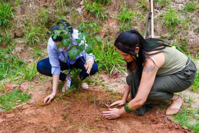 810 mudas de ipê amarelo foram plantadas ou doadas em Itabirito    