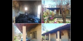 MG: ao tentar eliminar teias e aranhas de sítio com lança-chamas, idoso queima 35% do corpo dele MG: ao tentar eliminar teias de aranhas de sítio com lança-chamas, idoso queima 35% do corpo dele