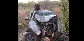 Mãe e filho morrem quando o pai, ao desviar de cavalo, bate com o carro em árvore na BR-251 Carro bate em árvore na BR-251 e mata mãe e filho de 11 anos