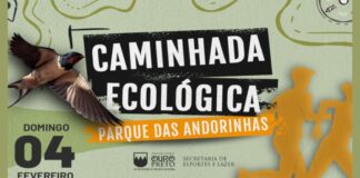 Ouro Preto: caminhada ecológica com destino ao Parque das Andorinhas será neste domingo Caminhada Ecológica com destino ao Parque das Andorinhas. Imagem - divulgação.