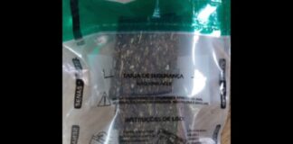 Mariana: após tentar fugir da PM, homem é preso por tráfico com maconha; outro foi detido por porte Mariana: após tentar fugir da PM, homem é preso por tráfico com maconha; outro foi detido por porte