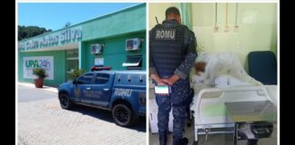 Itabirito: homem com mandado de prisão quebra costela, vai para UPA, mas após alta, é preso pela GM Itabirito: homem com mandado de prisão quebra costela, vai para UPA, mas após alta, é preso pela GM