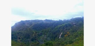 Após cabeça d’água, 3 adultos e 1 criança ficam ilhados em trilha de cachoeira de Rio Acima Após cabeça d’água, 3 adultos e 1 criança ficam ilhados em trilha para cachoeira de Rio Acima