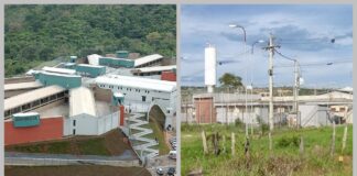 Caso Leone: trio de Itabirito segue preso em Ribeirão das Neves e Vespasiano; menor está internado Caso Leone: trio de Itabirito segue preso em Ribeirão das Neves e Vespasiano; menor está internado