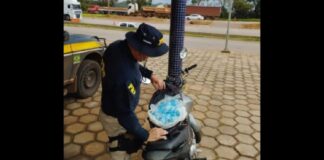 BR-040: PRF apreende 3 kg de cocaína e 1,4 kg de maconha avaliados em mais de R$ 480 mil