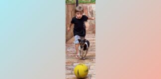 Itabirito: família pede oração para o pequeno Francisco, de 6 anos, que está em estado grave Itabirito: família pede oração para o pequeno Francisco, de 6 anos, que está em estado grave