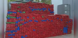 Quadrilha responsável por 800 kg de maconha já apreendidos em MG tem mais 2 membros presos Quadrilha responsável por 800 kg de maconha já apreendidos em MG tem mais 2 membros presos