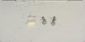 MG: homem é preso por embriaguez ao volante e diz à PM que bebeu “só 10 litrinhos de cerveja” Homem é detido por embriaguez ao volante e posse de drogas após acidente de trânsito em Divinópolis