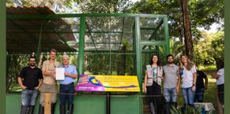 Gerdau inaugura viveiro de aves e vila de abelhas sem ferrão em Ouro Branco Viveiro de aves e vila de abelhas sem ferrão é inaugurado pela Gerdau em Ouro Branco - Foto - divulgação.