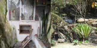 Serra da Santa, BR-356: cofre de Nossa Senhora das Graças é vandalizado e doações são furtadas Serra da Santa, BR-356: cofre de Nossa Senhora das Graças é vandalizado e doações são furtadas