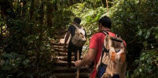 Itabirito: qual capacitação a Coca-Cola deveria oferecer quando se fala em turismo sustentável? Itabirito: qual capacitação a Coca-Cola deveria oferecer quando se fala em turismo sustentável?