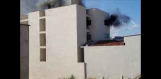 Cachorro morre durante incêndio em apartamento, em Conselheiro Lafaiete Cachorro morre durante incêndio em apartamento, em Conselheiro Lafaiete