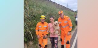 MG: bombeiro entra em rede pluvial para salvar Dudu, um cãozinho de 14 anos MG: bombeiro entra em rede pluvial para salvar Dudu, um cãozinho de 14 anos