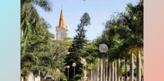 MG: idoso, de 80 anos, é preso suspeito de zoofilia com cães na frente de crianças MG: idoso, de 80 anos, é preso suspeito de zoofilia com cães na frente de crianças