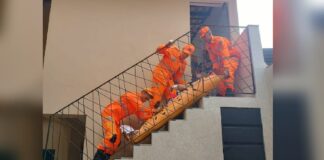 Idoso de 72 anos desmaia em residência e Corpo de Bombeiros é acionado em Conselheiro Lafaiete Idoso de 72 anos desmaia em residência e Corpo de Bombeiros é acionado em Conselheiro Lafaiete