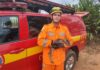Corpo de Bombeiros resgatam filhote de Veado-Campeiro em Minas Gerais