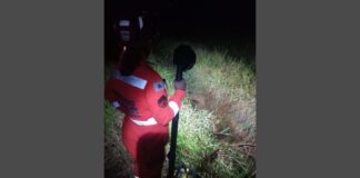 Cavalo cai em valeta e é resgatado pelo Corpo de Bombeiros em Conselheiro Lafaiete Cavalo cai em valeta e é resgatado pelo Corpo de Bombeiros em Conselheiro Lafaiete