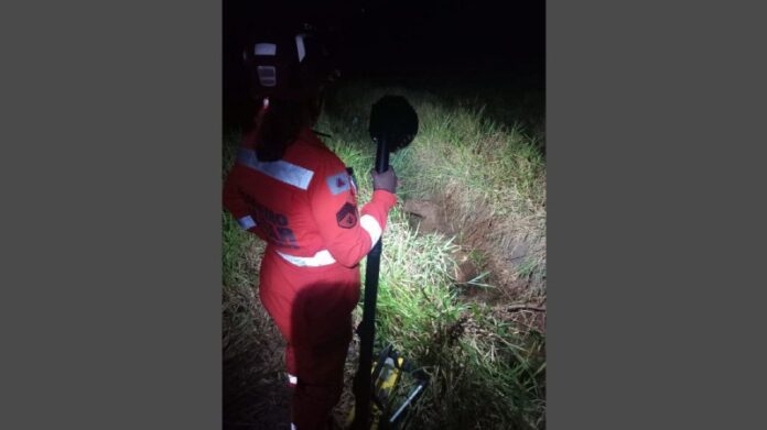 Cavalo cai em valeta e é resgatado pelo Corpo de Bombeiros em Conselheiro Lafaiete