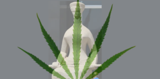 Após descriminalizar o porte de maconha para uso pessoal, STF deve definir a quantidade permitida Após descriminalizar o porte de maconha para uso pessoal, STF deve definir a quantidade permitida