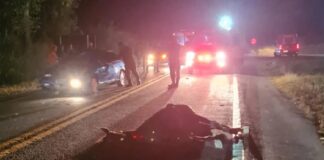 Um único cavalo na pista causa dois acidentes na MG-050 Um único cavalo na pista causa dois acidentes na MG-050