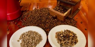 Workshop promove conhecimento sobre cafés especiais em Ouro Preto Workshop promove conhecimento sobre cafés especiais em Ouro Preto