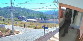 Itabirito: ladrão invade e furta 2 casas no bairro Van Damme; VEJA VÍDEO Itabirito: ladrão invade e furta 2 casas no bairro Van Damme