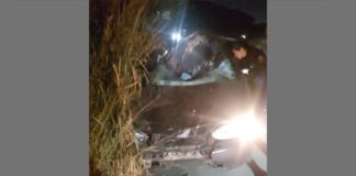 Choque entre cavalo e carro na MG-424 deixa 2 com suspeita de traumatismo cranioencefálico Choque entre cavalo e carro na MG-424 deixa 2 com suspeita de traumatismo cranioencefálico