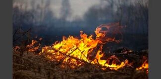 MG: homem morre carbonizado ao colocar fogo em terreno aos fundos de sua casa Imagem ilustrativa - Reprodução