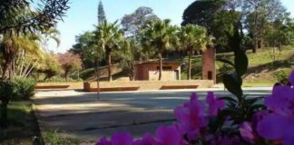 BH: mulher é estuprada, leva pedradas, finge estar morta, e autor foge nu pelo Anel Rodoviário BH: mulher é estuprada, leva pedradas, finge de morta, e autor foge nu pelo Anel Rodoviário