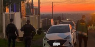 Guarda Municipal de Mariana resgata maritaca engaiolada, abandonada e morta por negligência Guarda Municipal de Mariana resgata maritaca engaiolada, abandonada e morta por negligência