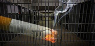 Cigarros proibidos em presídios de MG; tabaco tem sido usado para camuflar drogas K Cigarros proibidos em presídios de MG; tabaco tem sido usado para camuflar drogas K