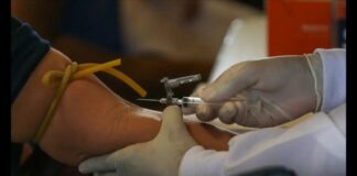 Em 2 semanas, casos de febre oropouche aumentam 77% em MG; Vale do Aço com 97% dos diagnósticos Em 2 semanas, casos de febre oropouche aumentam 77% em MG; Vale do Aço com 97% dos diagnósticos